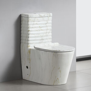 Marble Drawing Sanitary Ware Suites Gravity Flushing Floor Mounted Commode Ceramic Toilet Bowl One Piece Toilets for Bathroom