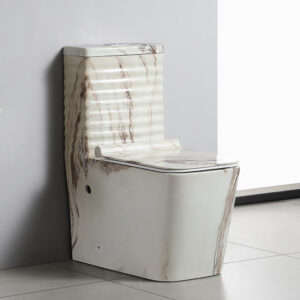 Marble Style Ceramic Modern One-Piece Floor Mounted Lavatory Set with S-Trap Dual Flush Gravity Flushing 250mm Pit Square