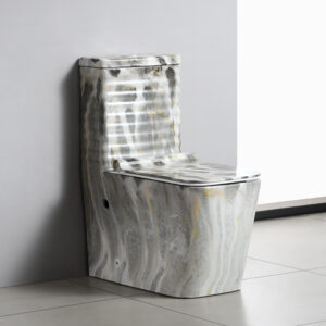 Ceramic Modern One-Piece Floor Mounted Lavatory Set with S-Trap Dual Flush Gravity Flushing 250mm Pit Spacing Easy to Clean