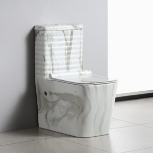 Marble Style Ceramic Modern One-Piece Floor Mounted Lavatory Set with S-Trap Dual Flush Gravity Flushing 250mm Pit Easy to Clean