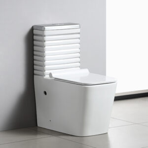 Silver Stripes Decoration Ceramic Modern One-Piece Floor Mounted Lavatory Set with S-Trap Dual Flush Gravity Flushing 250mm Pit